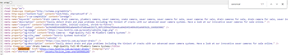 How to view canonical tags using the source code