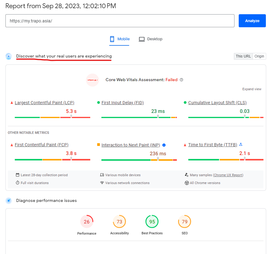 Page Speed insights report example